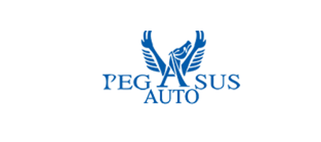 Pegasus Auto Vendita e Noleggio